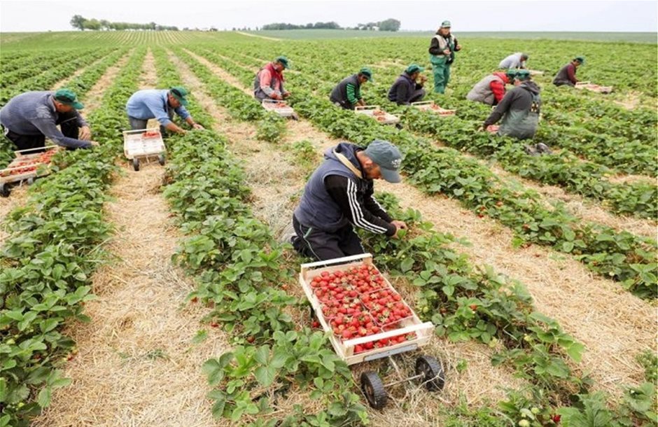 Παράταση μέχρι και 30 Ιουνίου για εργάτες γης τρίτων χωρών