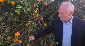 Ολοκληρώθηκαν οι εκτιμήσεις για προανθικό στη Δυτική Μακεδονία - Εντός Μαΐου οι αποζημιώσεις • Έλληνας Αγρότης
