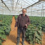 Πέφτουν οι τιμές των κηπευτικών της Κρήτης • Έλληνας Αγρότης