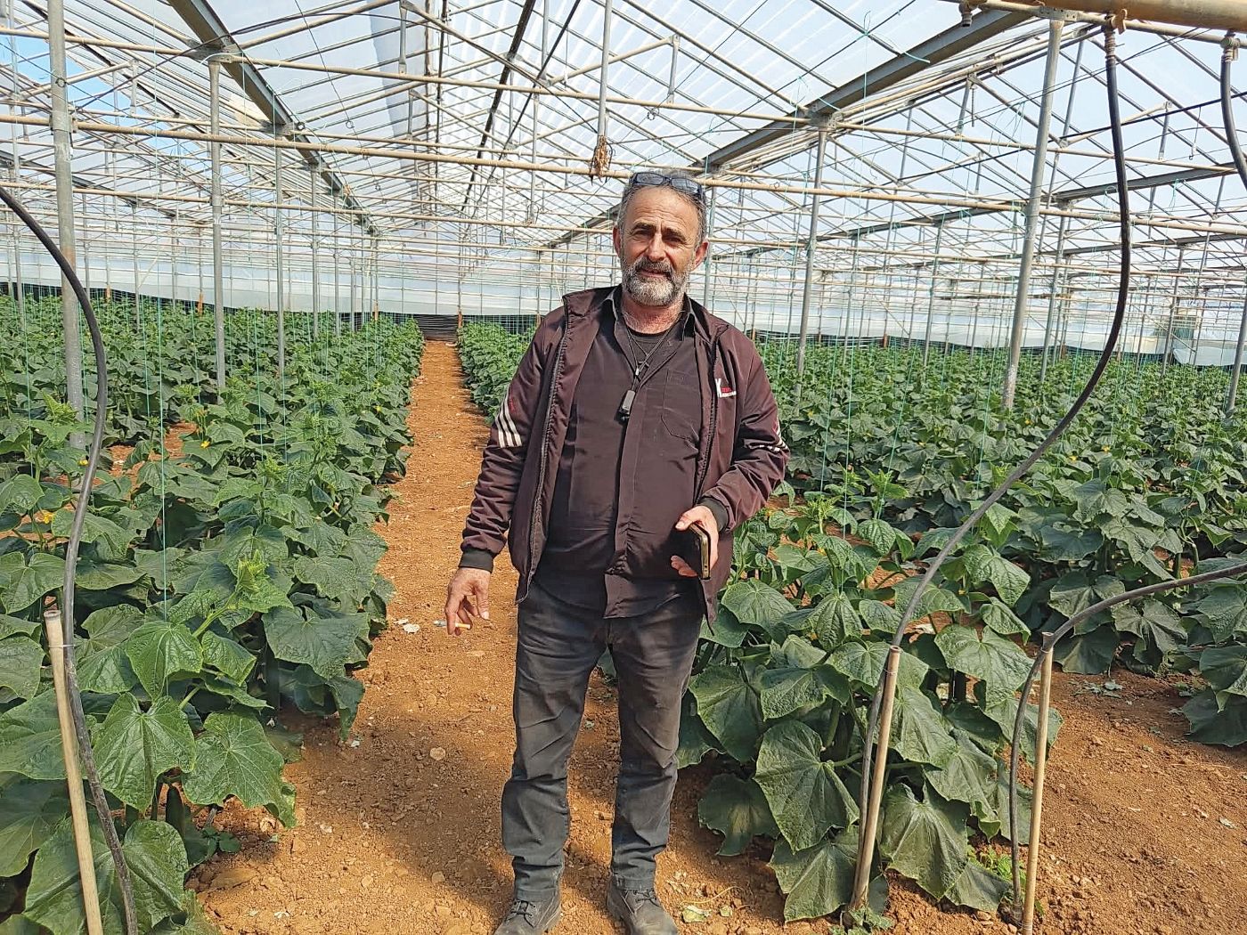 Πέφτουν οι τιμές των κηπευτικών της Κρήτης • Έλληνας Αγρότης