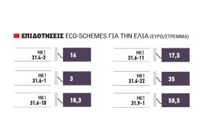 Τα 70 ευρώ το στρέμμα από οικοσχήματα δίνει φέτος για πρώτη φορά η ελαιοκαλλιέργεια με χρήση τριών δρόμων